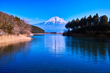  田貫湖と富士山