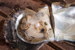 Pearl inside a oyster