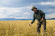 © Rawpixel.com - Man Walking Meadow Beautiful Scenic View Concept