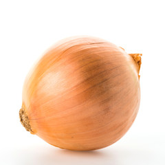 Wall Mural - Onion