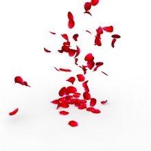 Rose Petals Falling On A Surface