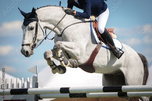Fotografía Equestrian Sports, Show Jumping Event, Horse Jumping Competition.