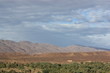 Dattelpalmenoase vor dem Atlasgebirge - Marokko