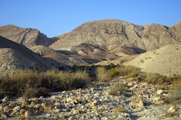 Wall Mural - Wadi in desert