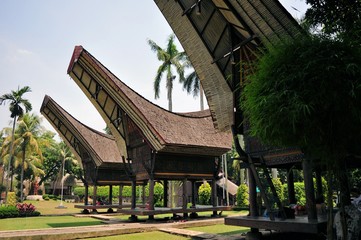 Wall Mural - Traditional house in Tana Toraja, Indonesia