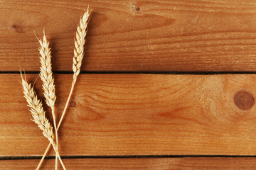 Poster - Spikelets of wheat on wooden background