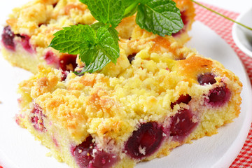 Canvas Print - Cherry Crumbcake Squares