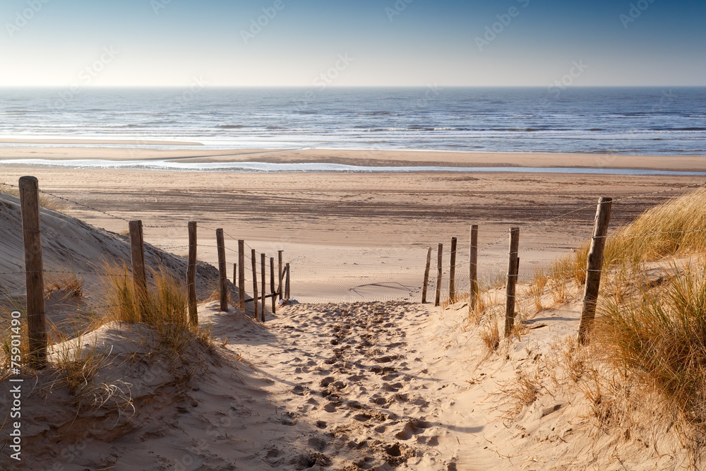 sand path to North sea at sunset - obrazy, fototapety, plakaty 