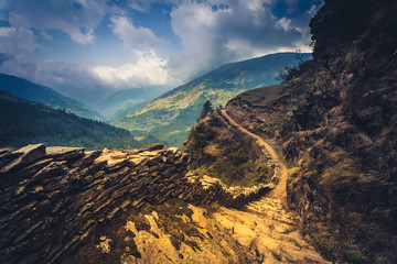 Wall Mural - mountain trail