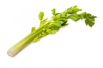 Wall Mural - Celery