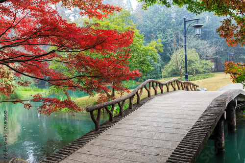 Naklejka dekoracyjna beautiful park in autumn