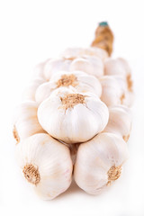 Poster - fresh garlic