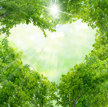 Green Leaves In Heart Shape
