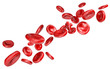 Healthy human red blood cells flowing in a stream