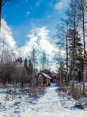 Two houses in winter forest on a clear, sunny day.