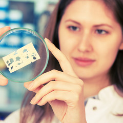 Sticker - girl in the laboratory of food quality tests cheese