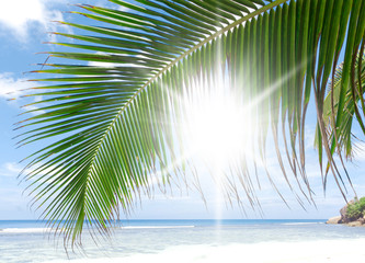 Canvas Print - Island Lagoon Jungle and Sea