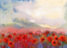 Red Poppy Flowers Filed  Watercolor Painting