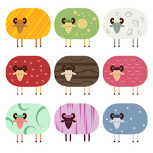 Collection Of Sheep