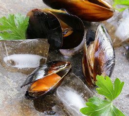 fresh delicious seafood mussels with green parsley