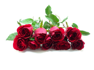 red roses