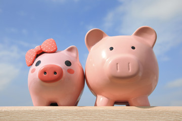 Pink piggy bank couple