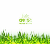 Fototapeta Perspektywa 3d - hello spring background with grass