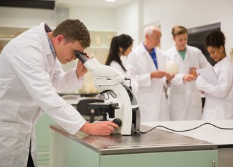 Wall Mural - young medical student working with microscope