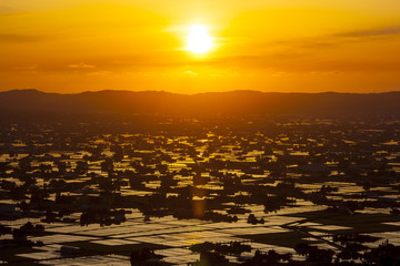 Wall Mural - Sunset at flooded rice field, Sankyoson, Toyama