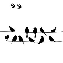 Cute Black Birds On A Wire