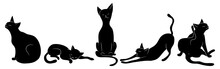 Set Of Black Cats