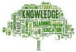 Conceptual image of tag cloud containing words related to knowle