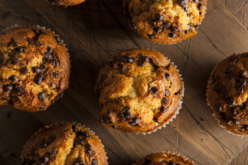 Poster - Homemade Chocolate Chip Muffins