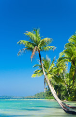 Canvas Print - Exotic Paradise Jungle Lagoon