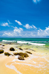 Wall Mural - White Sand Sunshine Surf