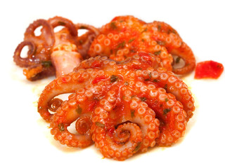 Poster - octopus with tomato sauce