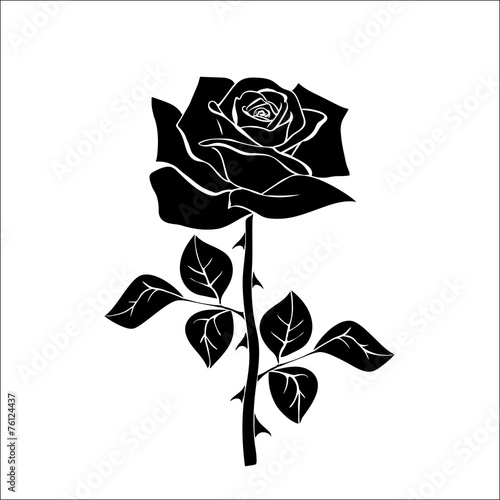 Naklejka dekoracyjna silhouette of rose