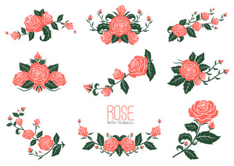 Pink rose Collection, vector illustration