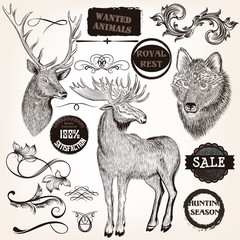 Wall Mural - Collection of hand drawn animals, labels and swirls in vintage s