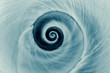 Cyanotype spiral