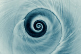 Cyanotype spiral