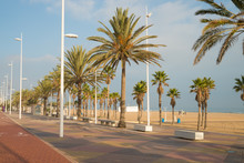 Gandia Beach Promenade