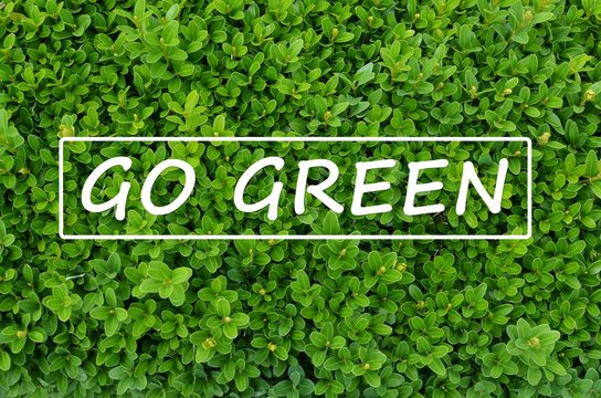 Wall Mural -  - Evergreen shrub with “Go green” message
