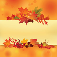 Wall Mural - Autumn frame with leaves. Fall maple leaf background with copy space.