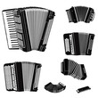 Music instruments set. Accordion family collection