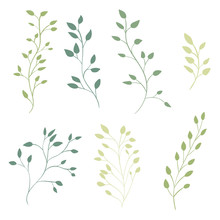 Hand Drawn Ornate Branches With Leaves. Vector Decorative