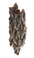 Sticker - Bark tree