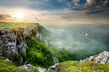 Wall Mural - Birds over plateau