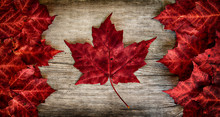 Canadian Flag Made Out Of Real Maple Leaves On A Cedar Backing