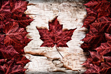 Canadian Flag Made Out Of Real Maple Leaves On A Birch Bark